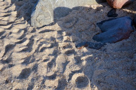 Ansicht von Fußabdrücken auf Sand in der Wüste in der Nähe von Steinblöcken. Die Gleise werden von der Sonne beleuchtet.