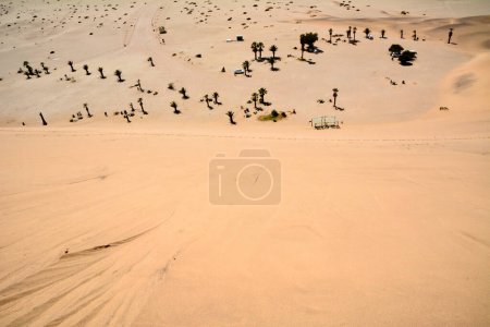 Blick von oben von der Sanddüne auf Wüstenlandschaft und Oasenpalmen darunter und Touristen-Rastplatz. Mehrere Autos geparkt