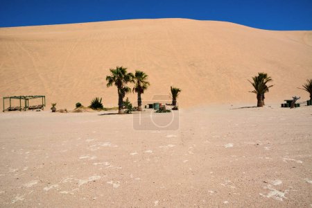 Blick auf Sanddüne auf Wüstenlandschaft und Oasenpalmen mit Touristen Rastplatz unter klarem blauen Himmel. Klima und Austrocknung des Planeten beseitigen