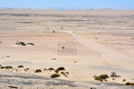 Ein Panoramablick auf eine Gabelung auf einem Feldweg in einer trockenen, heißen Wüste. Klima und Austrocknung des Planeten beseitigen