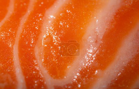 Photo for Fish fillet or salmon fillet. Orange fillet interlaced with a layer of fat. healthy fish food - Royalty Free Image