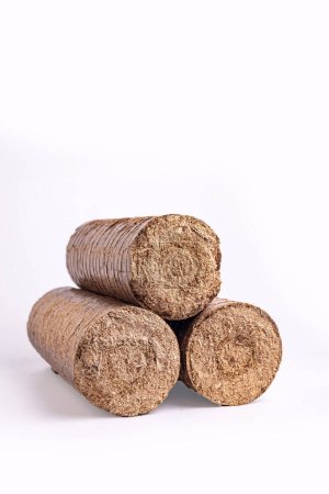 Téléchargez les photos : Production de granulés de bois. Un type de combustible ligneux. - en image libre de droit