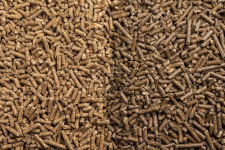 Photo for Production of wood pellets. A type of wood fuel. - Royalty Free Image