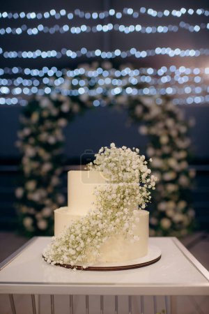 elegant white two-tiered wedding cake decorated with flowers on a small table against the backdrop of a wedding arch