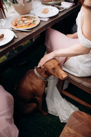 the dog sits next to the hostess at the festive table. the dog asks for food from the table. the owner put her hand on the dog's head