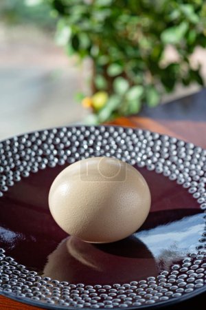 Photo for A huge ostrich egg on a large plate, against a background of summer greenery. Organic, eco food products. Soft selective focus. - Royalty Free Image