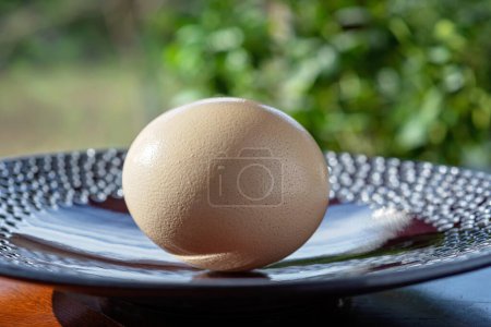 Foto de Un enorme huevo de avestruz en un plato grande, sobre un fondo de vegetación de verano. Productos ecológicos y ecológicos. Enfoque selectivo suave. - Imagen libre de derechos