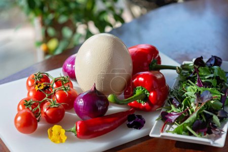 Foto de Huevo de avestruz, verduras orgánicas de granja, tomates, pimentón, cebolla, chile, verduras de ensalada. Ingredientes para cocinar tortilla, shakshuka. Enfoque selectivo suave. - Imagen libre de derechos