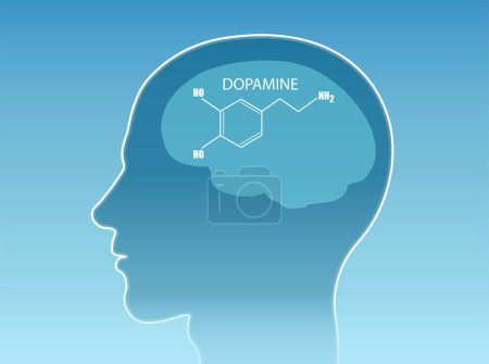 Illustration for Vector of a chemical formula of the hormone dopamine inside human brain - Royalty Free Image