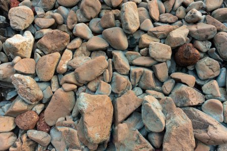 Téléchargez les photos : Top down close-up view of naturally rounded beach rocks on the seashore. - en image libre de droit