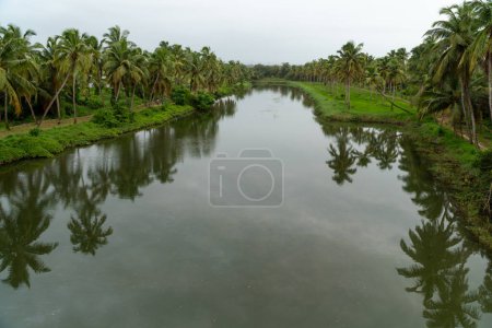 Téléchargez les photos : Vue en angle élevé d'une belle rivière avec des cocotiers sur les rives par une journée couverte de mousson. - en image libre de droit