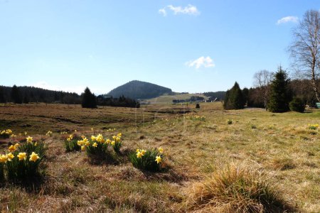 Photo for Mountain landscape in the spring in the Jizera Mountains, Jizerka settlement - Royalty Free Image