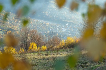 Foto de Vista de las montañas y hermoso bosque de otoño colorido, marco de hojas de otoño - Imagen libre de derechos