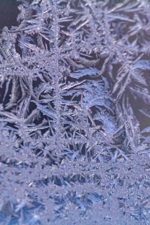 Foto de Textura de escarcha sobre vidrio en invierno frío. Fondo de invierno. Vista vertical - Imagen libre de derechos