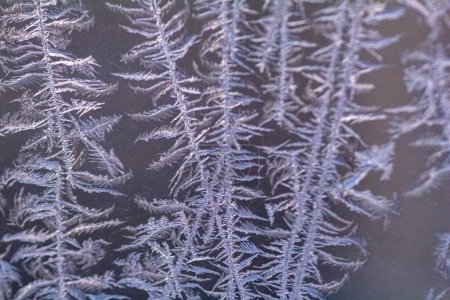 Foto de La helada en la ventana en el día frío invernal. Textura de escarcha en vidrio - Imagen libre de derechos