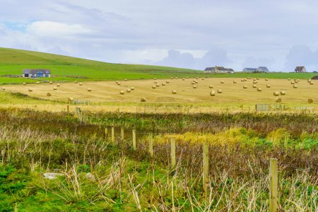 Blick auf Felder und Heuhaufen, in Marwick Head, Mainland Orkney, Schottland, Großbritannien
