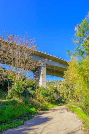 Téléchargez les photos : View of a footpath and an overhead highway, in the Nahal Giborim (Wadi Rushmiya) valley, Haifa, Israel - en image libre de droit