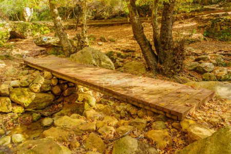 Foto de Vista de rocas, árboles, arroyo de agua, follaje de otoño, pasarela y marcas de senderos, en la Reserva Natural del arroyo Amud, Alta Galilea, norte de Israel - Imagen libre de derechos