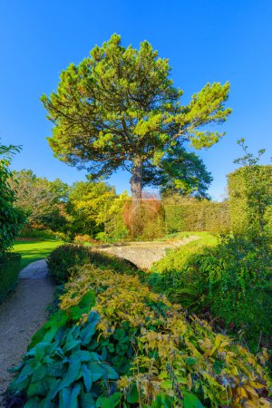 Vue des jardins Hidcote, dans la région des Cotswolds, Angleterre, Royaume-Uni