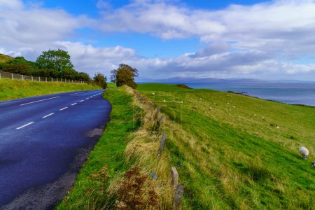 Foto de Vista de la carretera y las ovejas en el paisaje, península de Kintyre, Escocia, Reino Unido - Imagen libre de derechos