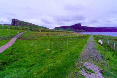 Téléchargez les photos : Coucher de soleil sur les falaises et rochers côtiers, avec moutons, à Neist Point, île de Skye, Hébrides intérieures, Écosse, Royaume-Uni - en image libre de droit