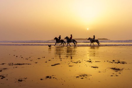 Foto de Essaouira, Marruecos - 07 de abril de 2023: Vista del atardecer con silueta de caballos y jinetes en la playa de Essaouira (Mogador), Marruecos - Imagen libre de derechos