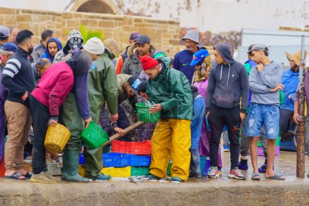 Téléchargez les photos : Essaouira, Maroc - 07 avril 2023 : Scène du lever du soleil du port de pêche, avec des habitants manipulant des captures de sardines, à Essaouira (Mogador), Maroc - en image libre de droit