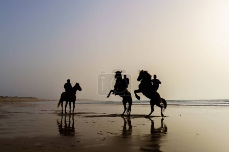 Téléchargez les photos : Essaouira, Maroc - 06 avril 2023 : Silhouette de chevaux et cavaliers sur la plage d'Essaouira (Mogador), Maroc - en image libre de droit