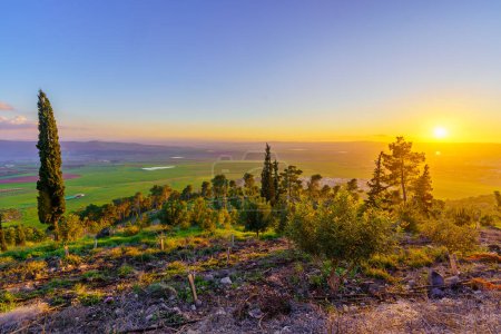 Photo for Sunset view of countryside in the Jezreel Valley, with pines and other trees. Northern Israel - Royalty Free Image