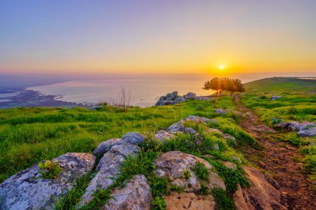 Foto de Salida del sol vista del mar de Galilea, desde el monte Arbel (lado oeste), con flores silvestres de invierno, norte de Israel - Imagen libre de derechos