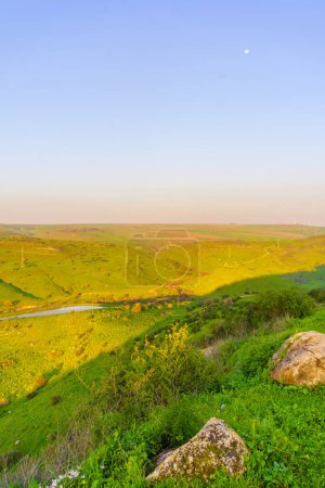 Photo for View of the Tabor Stream landscape, with winter wildflowers, in the Lower Galilee, Israel - Royalty Free Image