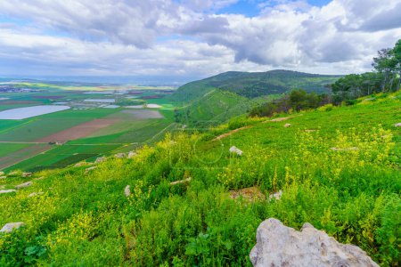 Photo for Winter view of the Jezreel valley countryside landscape, from the Gilboa mountain ridge. Northern Israel - Royalty Free Image