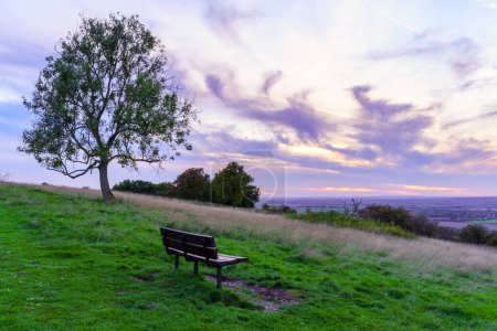 Sonnenuntergang mit Bank, Baum und Landschaft in Dunstable Downs, Bedfordshire, England, Großbritannien