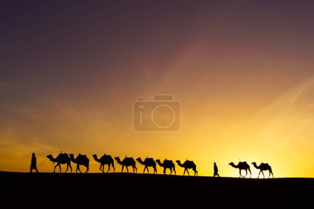 Sunrise silhouette of camels and handlers, in the sand dunes of Merzouga, the Sahara Desert, Morocco