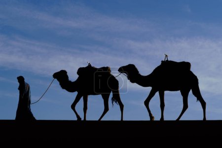 Silhouette of camels and handler, in the sand dunes of Merzouga, the Sahara Desert, Morocco