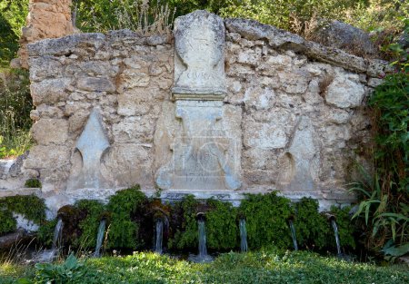 Photo for A serene fountain in Civica (Brihuega) featuring low spouts and abundant wall vegetation. - Royalty Free Image