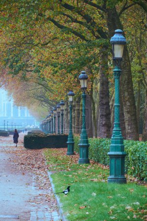 Elisabeth-Park in Brüssel im Nebel, der seine schönen Laternenpfähle hervorhebt
