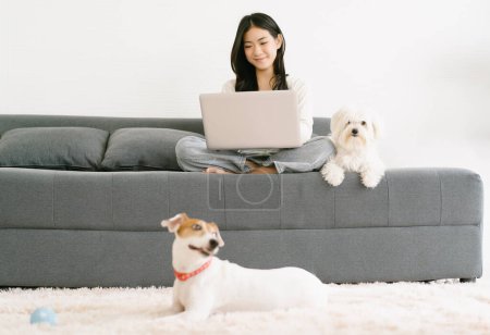 Young beautiful Asian woman using laptop computer relax sit with her lovely dog on couch. Asia girl student freelancer working at home with two dog sit near her. New normal and Friendly Dog Concept