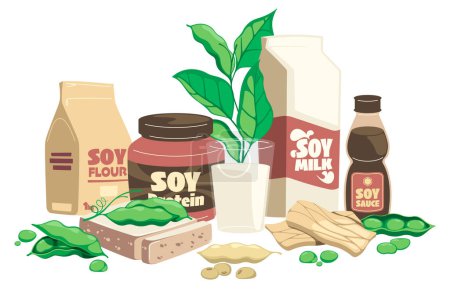Illustration for Soy products composition. Cartoon healthy food with tofu tempeh soy milk soy sauce, organic vegetarian nutrition concept. Vector flat set. Eco product for vegan dishes as protein, flour - Royalty Free Image