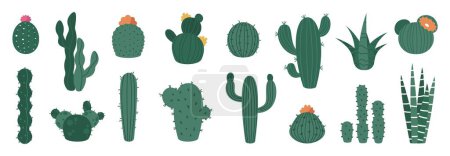 Foto de Cactus de dibujos animados. Linda planta espinosa con flores, iconos decorativos de flora desértica mexicana, elementos decorativos orgánicos para el diseño de verano. Set aislado vectorial - Imagen libre de derechos