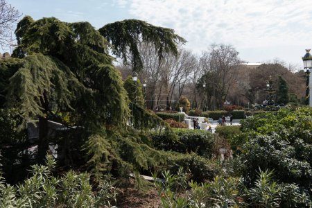 Téléchargez les photos : Un jardin avec un château en arrière-plan - en image libre de droit