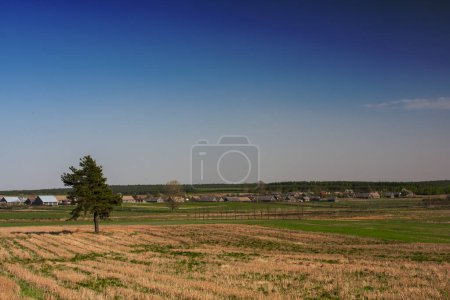 Photo for Rural idyllic landscape with a cultivated field and a settlement in the distance, small country houses - Royalty Free Image