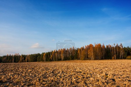 Vista del campo cultivable en otoño, agricultura en el campo, colecciones de cosecha de otoño, Polonia, Podlasie