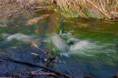 View of a wild stream flowing in the forest, natural environment