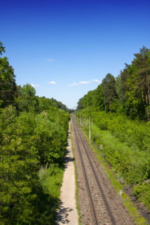 Blick von oben auf den durch den Wald verlaufenden Eisenbahnweg inmitten eines dichten Waldes, sonniger Tag