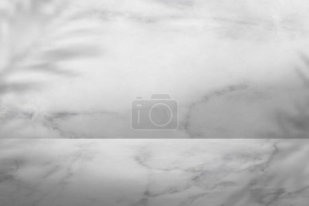 Foto de Mármol Color blanco y gris con sombra de hoja de palma en el fondo de Wall Studio. Superficie de granito de la naturaleza gris buena para la presentación de productos cosméticos para la venta en línea. Concepto mínimo - Imagen libre de derechos