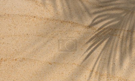 Téléchargez les photos : Texture sable Arrière-plan avec feuilles de cocotier Ombre, Nature Plage de sable avec superposition de feuilles tropicales, Vue de dessus Sable du désert fait, Vacances d'été horizontales, concept de fond de vacances - en image libre de droit