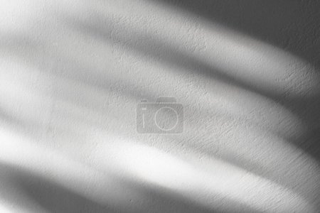 Studio d'arrière-plan blanc avec l'ombre de feuilles, réflexion de rayon de soleil sur le mur en béton, fond vide Salle de cuisine grise avec la lumière abstraite sur le dessus de table en ciment, affichage de bannière pour la présentation du produit