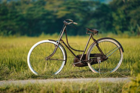 Classic onthel bicycles that are displayed on village roads around the rice fields.