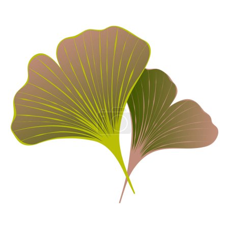Illustration for Ginkgo leaves trendy vector illustration for logo design, print, textile. Art on the theme of ecology and nature - Royalty Free Image